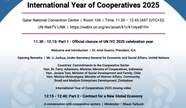 IYC programme document
