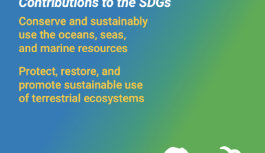 SDG 14 and 15 life on land and under water