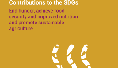 Policy Brief - SDG 2 - Zero Hunger