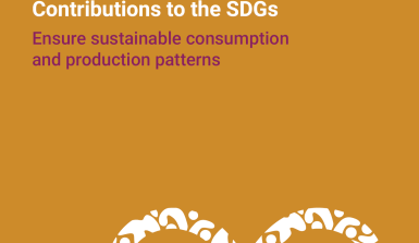SDG 12 - Responsible Consumption and Production